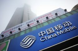 【5分钟教程】南平市企业名录_哔哩哔哩